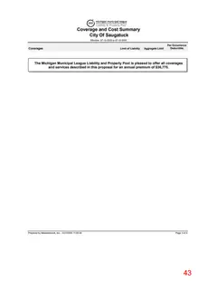 Page 43