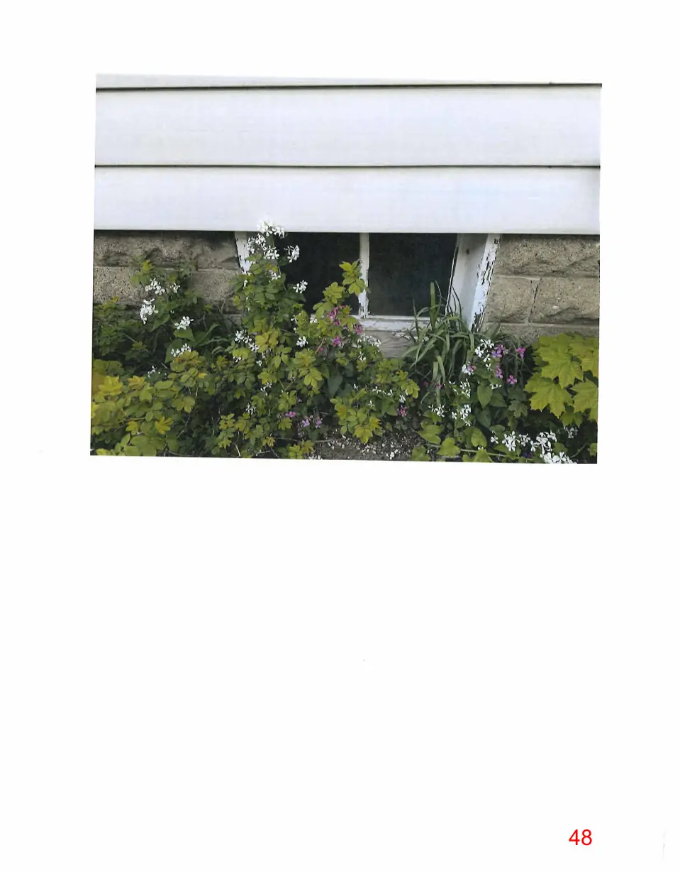Page 48 of the packet, a scanned page
