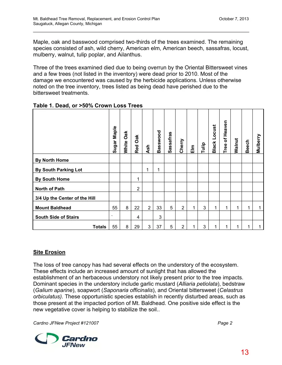 Page 13 of the packet; its text follows