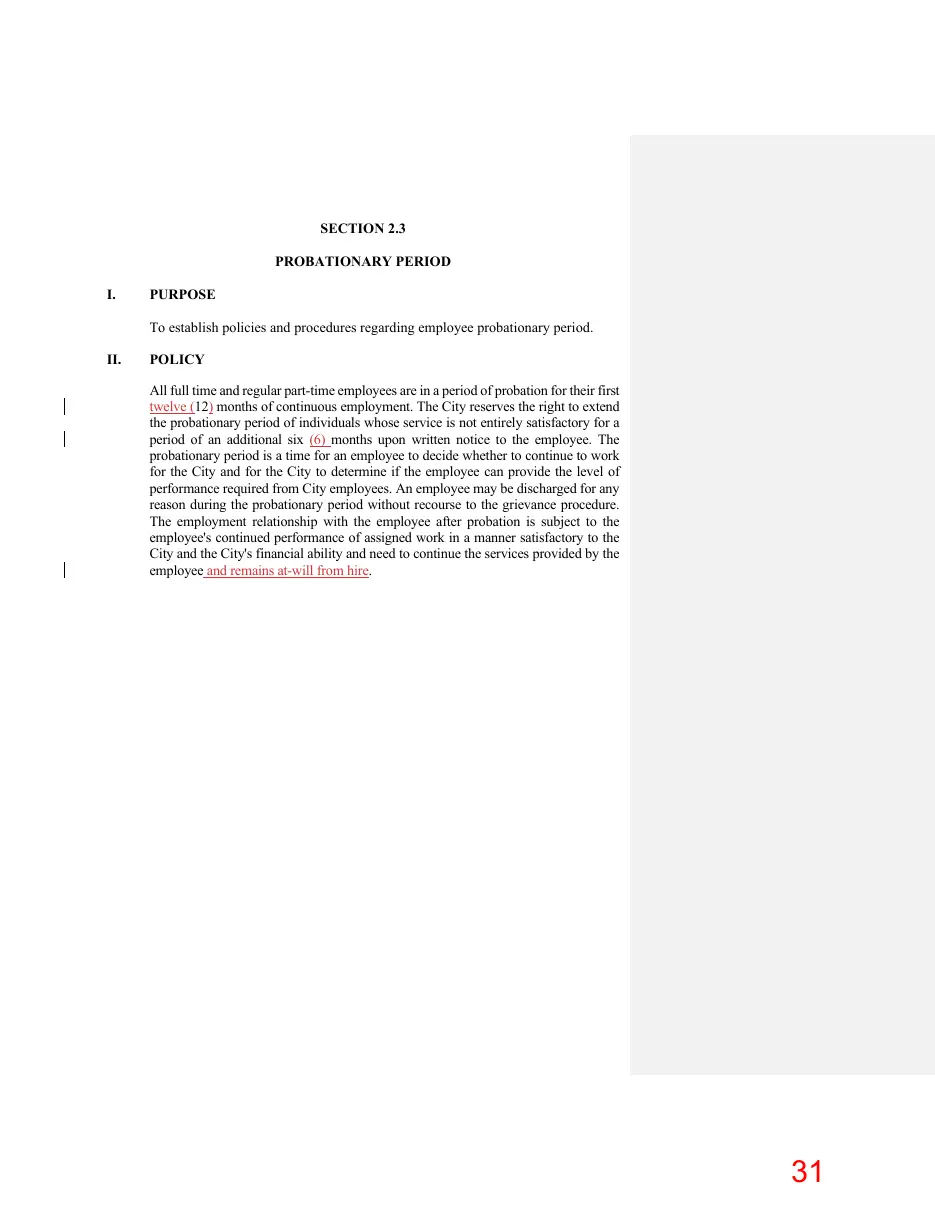 Page 31 of the packet; its text follows