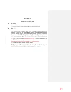 Page 41
