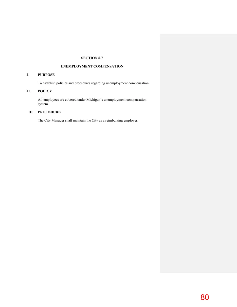 Page 80 of the packet; its text follows