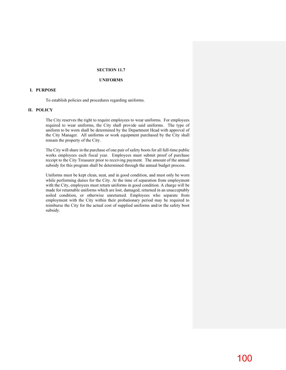 Page 100 of the packet; its text follows