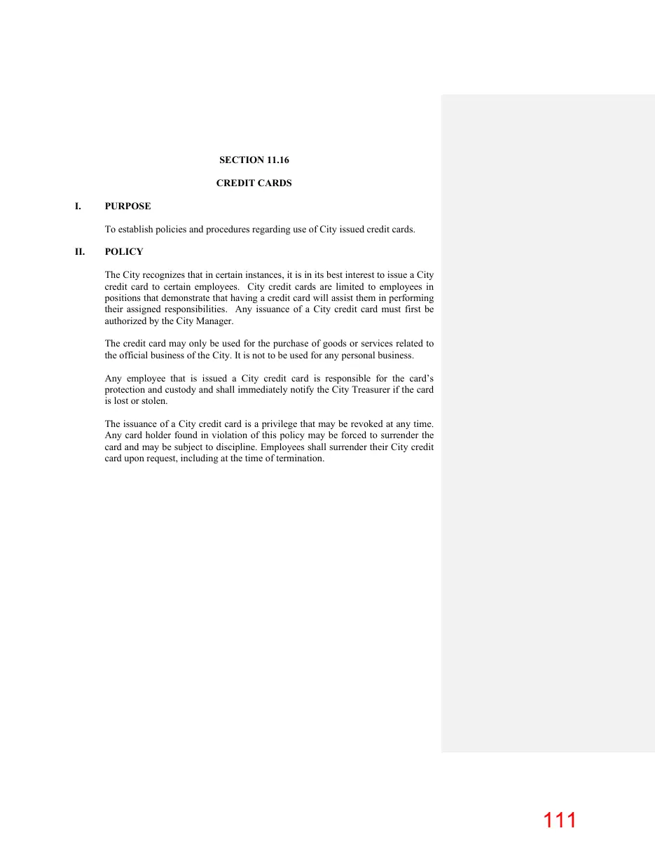 Page 111 of the packet; its text follows