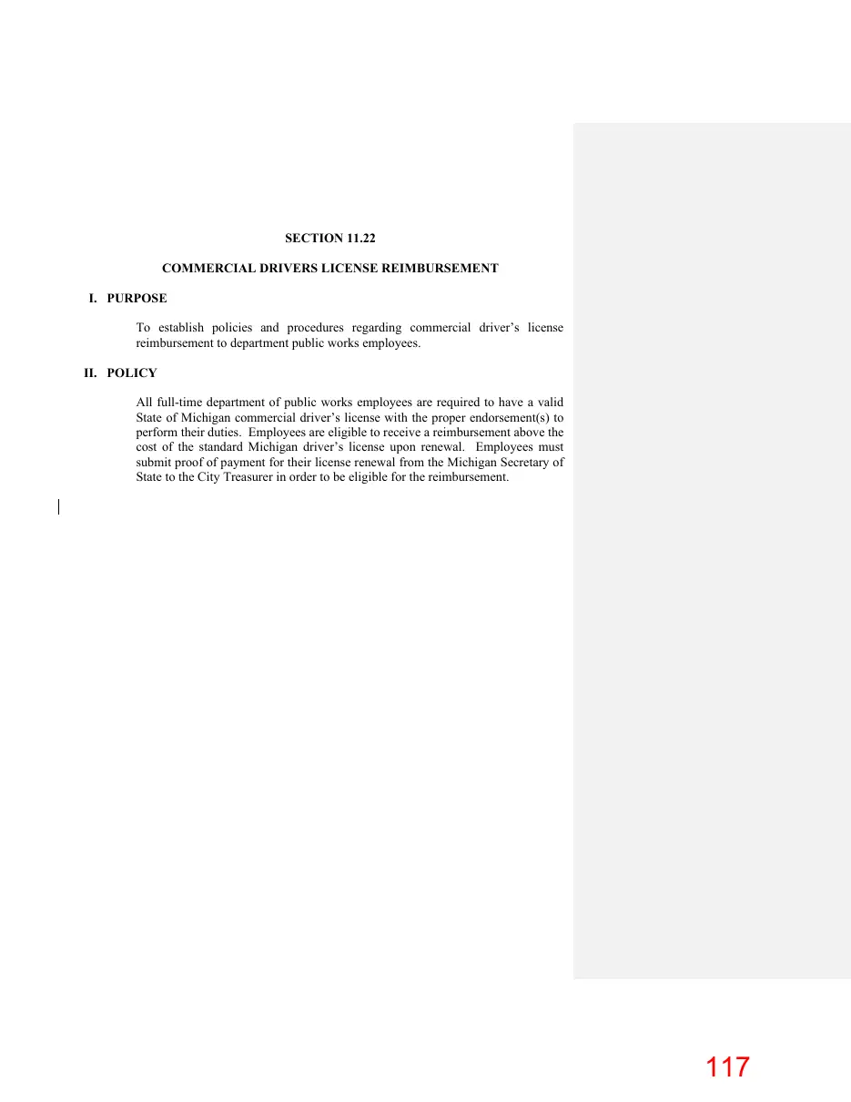 Page 117 of the packet; its text follows