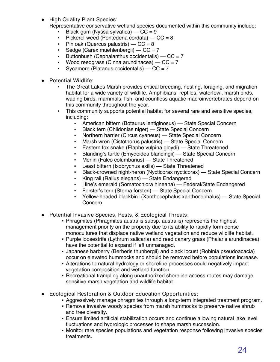 Page 24 of the packet; its text follows