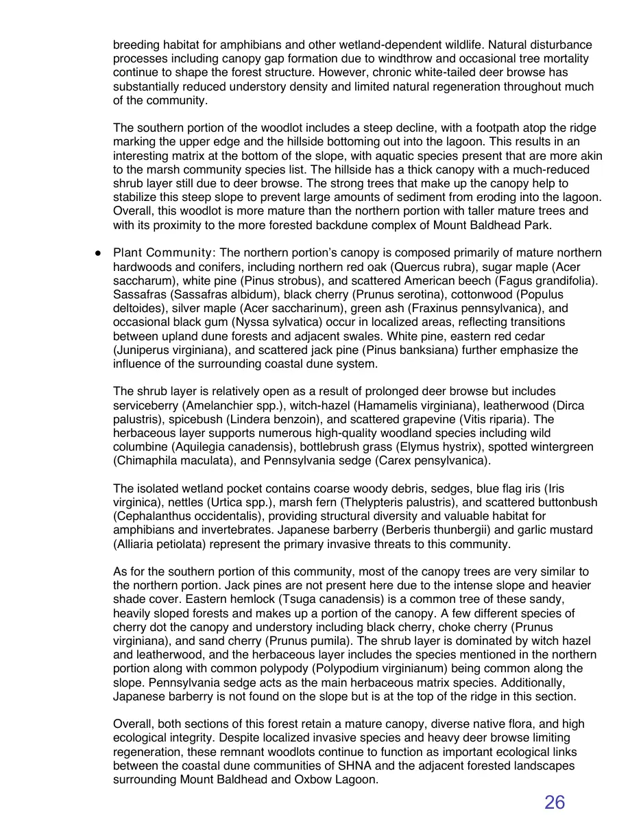 Page 26 of the packet; its text follows