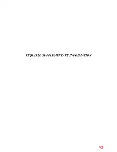 Page 43