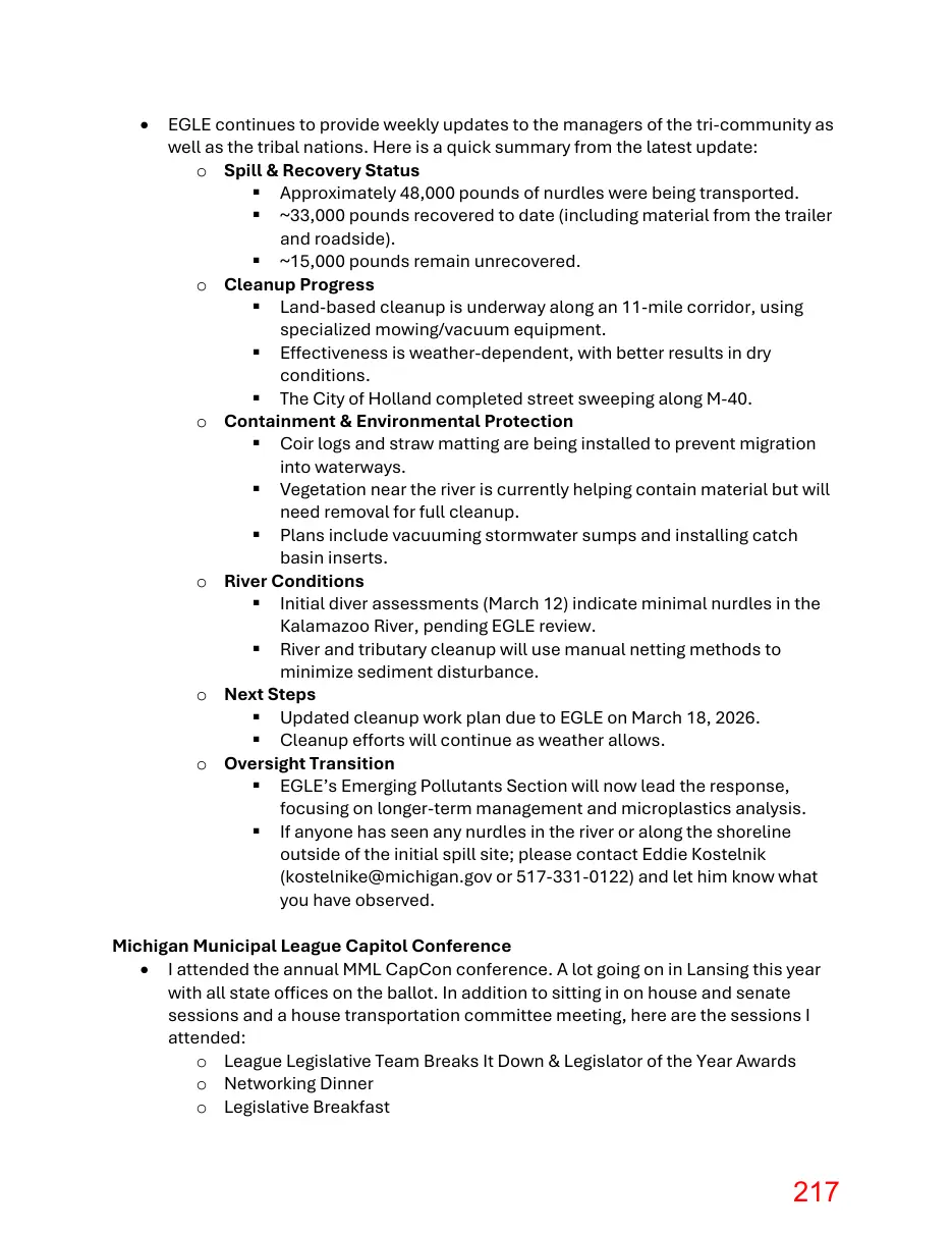Page 217 of the packet; its text follows