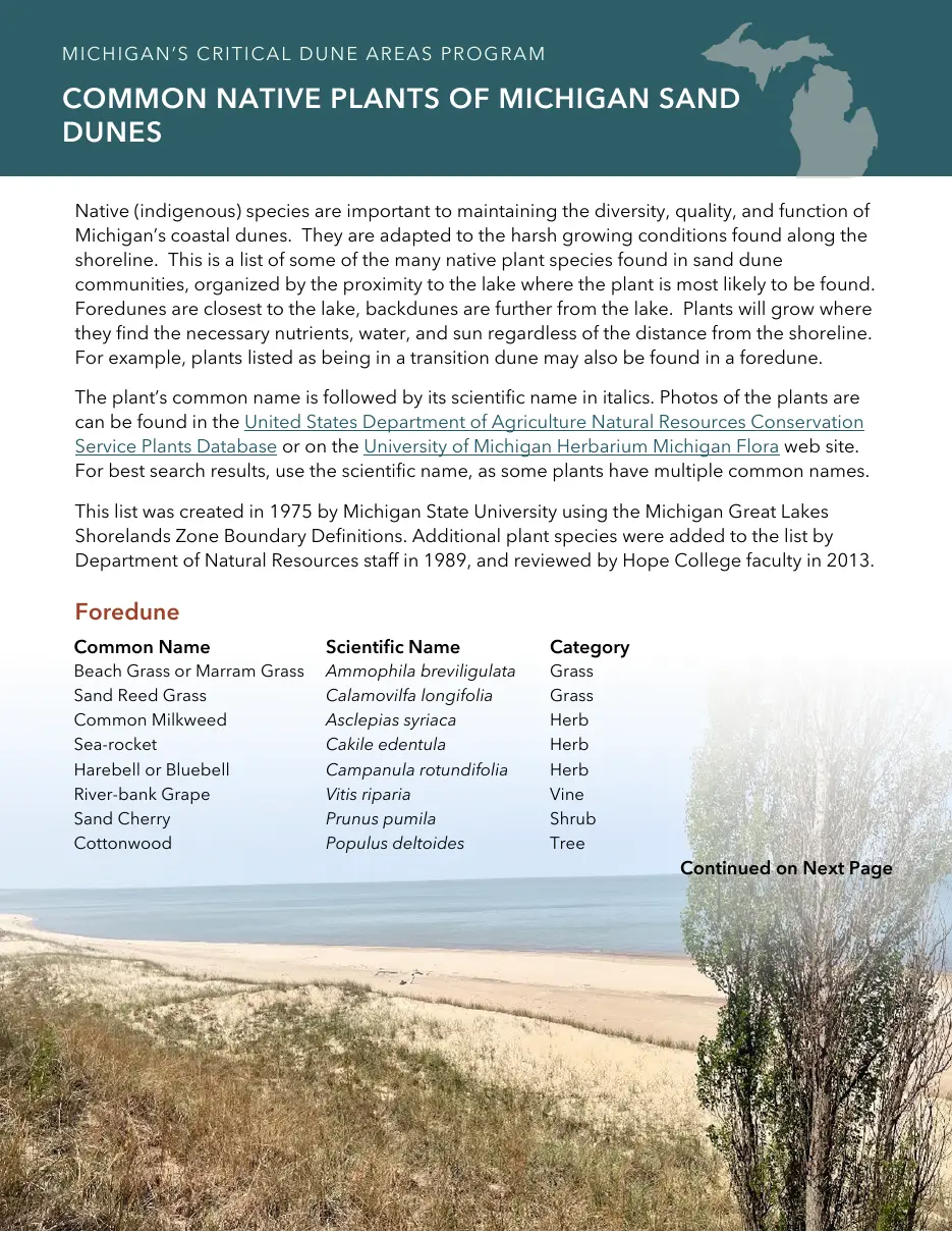 Page 9 of the packet; its text follows