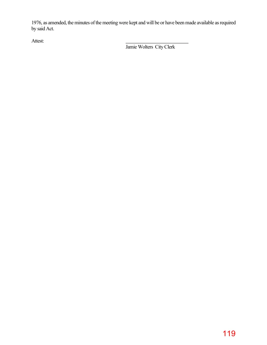 Page 119 of the packet; its text follows