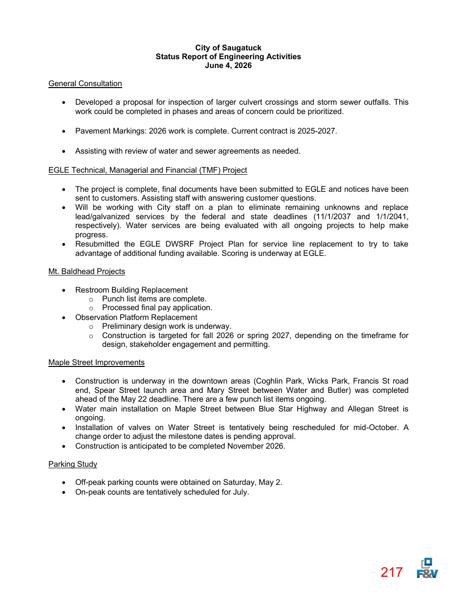 Page 217 of the packet; its text follows