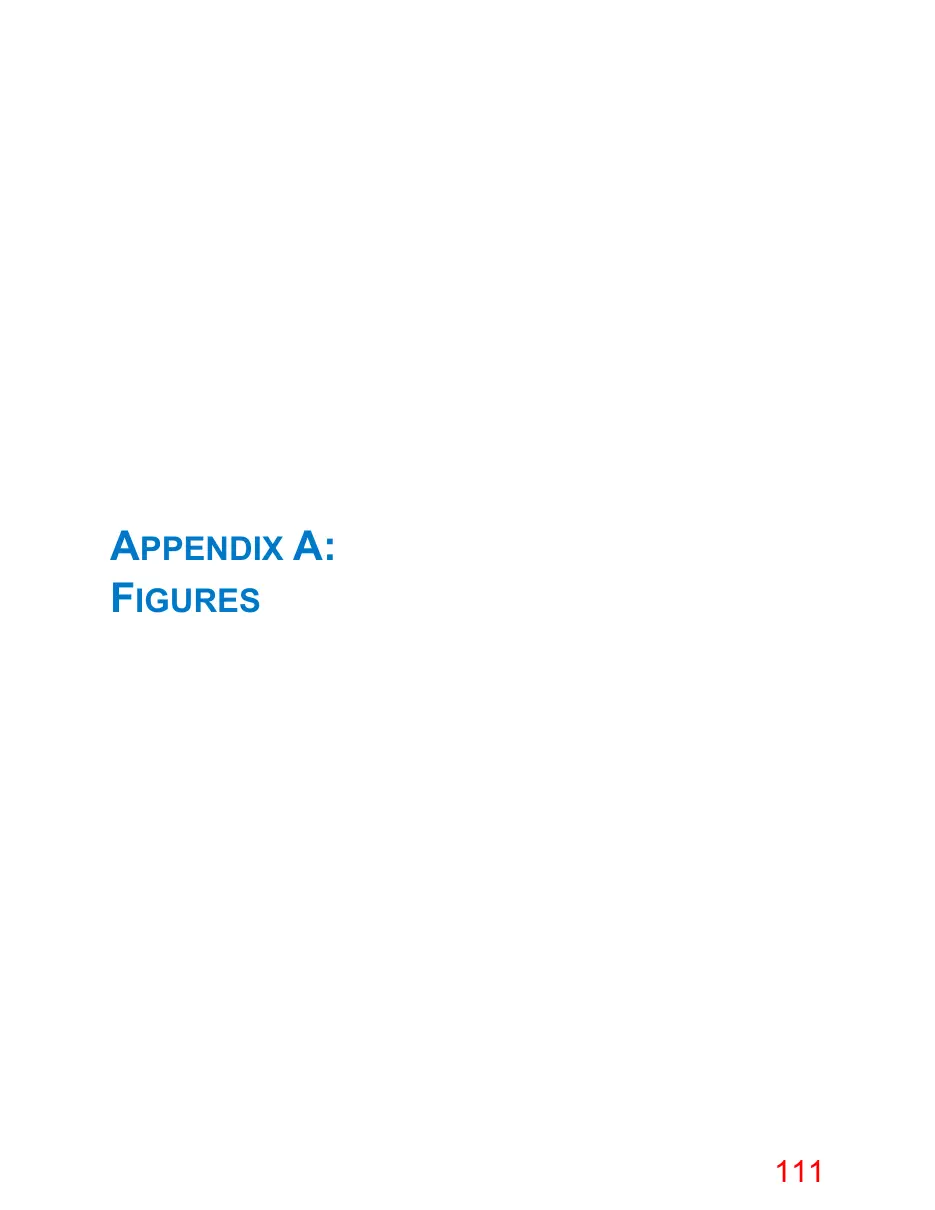 Page 111 of the packet; its text follows