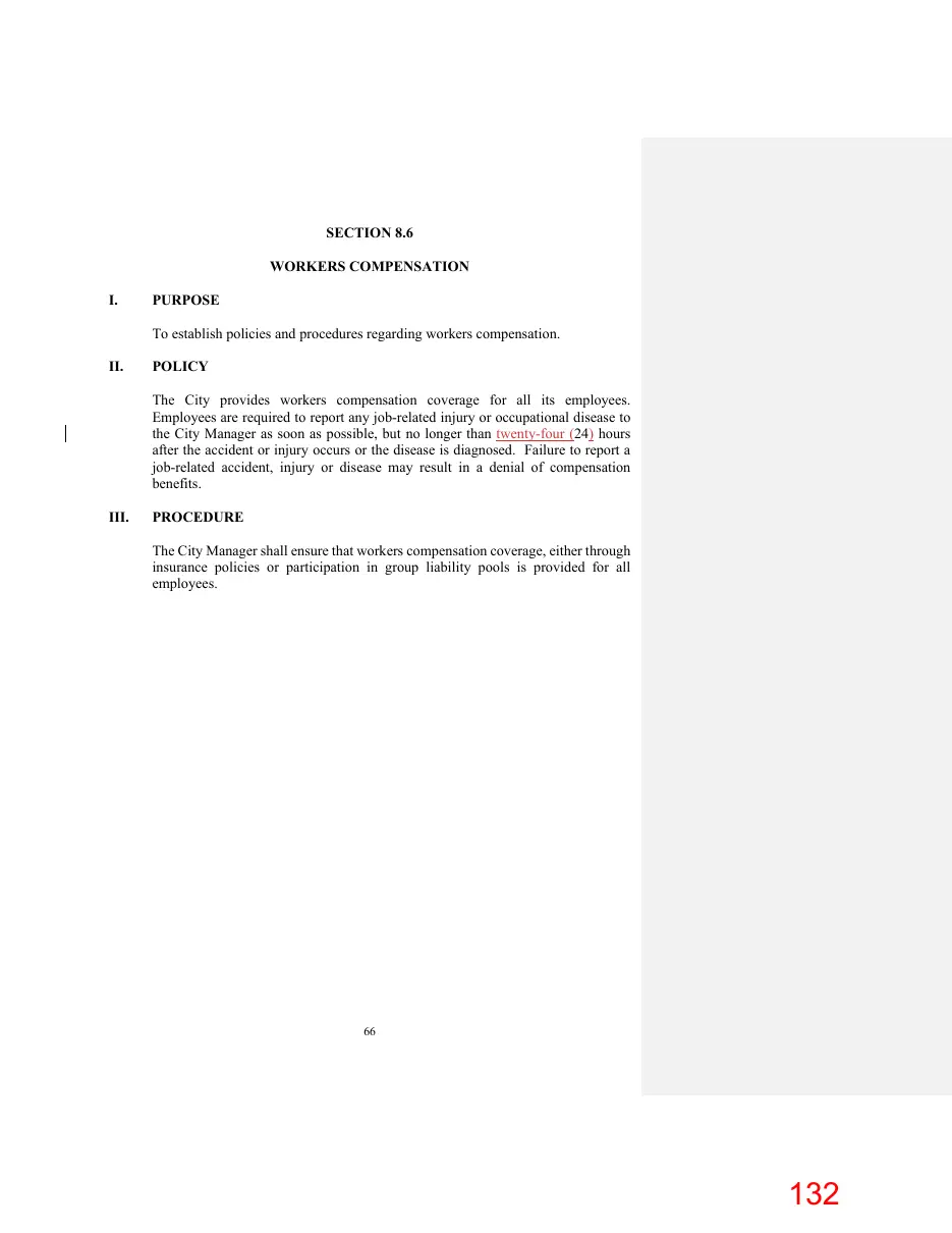 Page 132 of the packet; its text follows