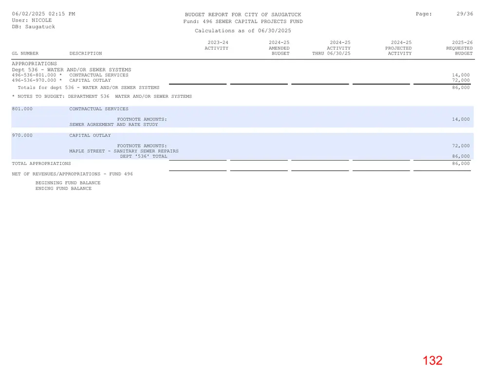 Page 132 of the packet; its text follows