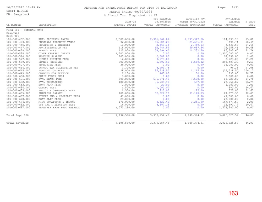 Page 163 of the packet; its text follows