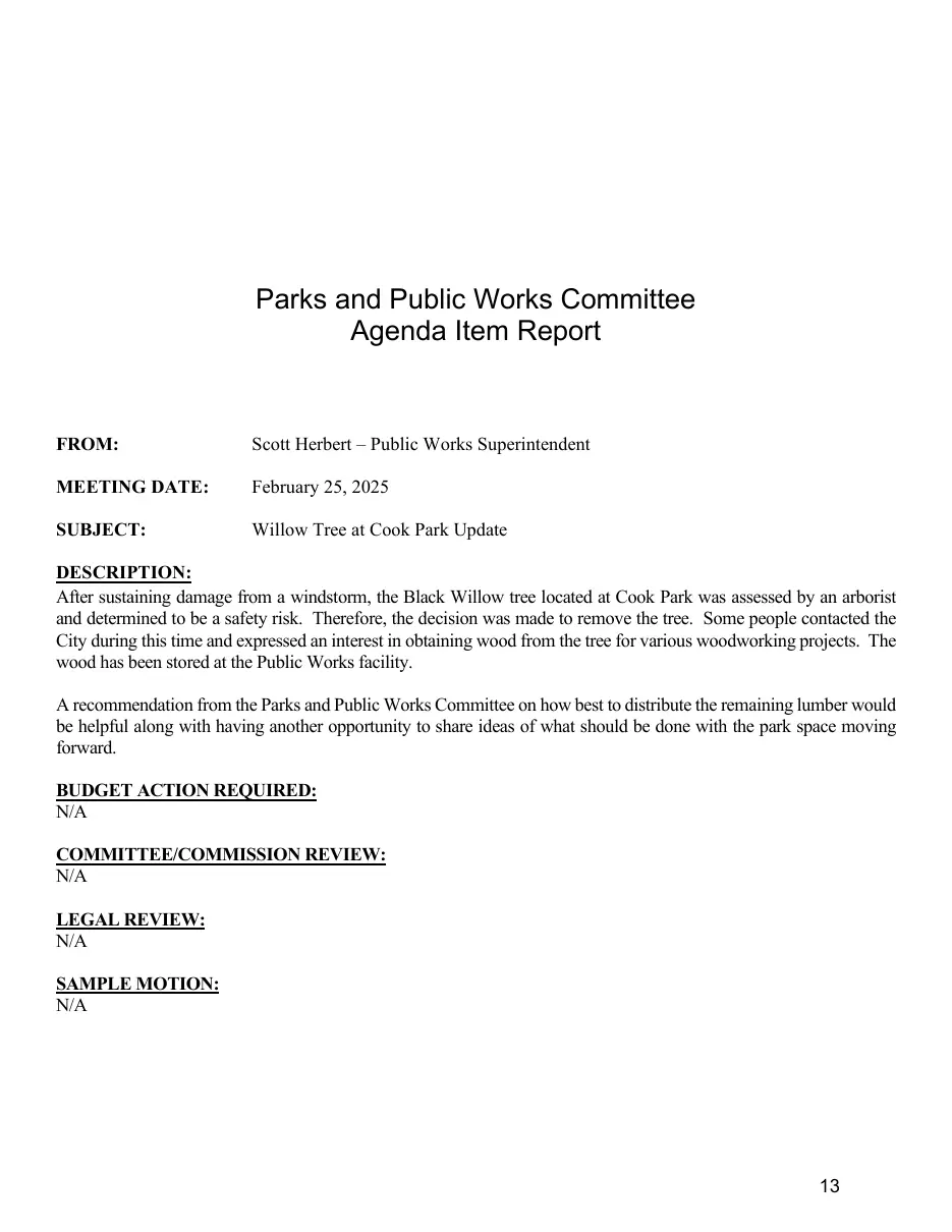 Page 13 of the packet; its text follows