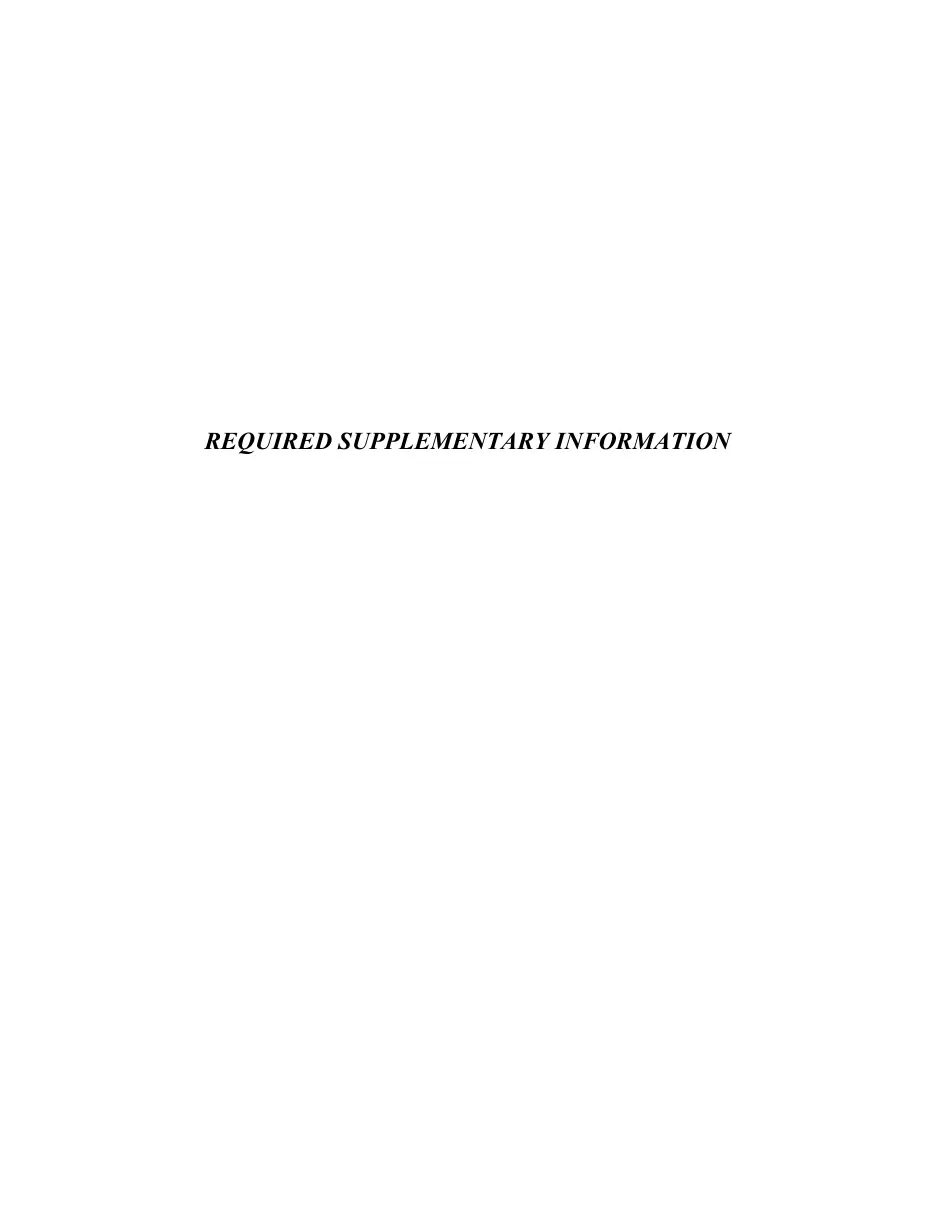 Page 45 of the packet; its text follows