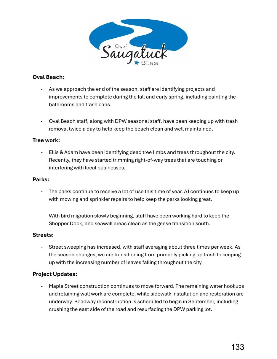 Page 133 of the packet; its text follows