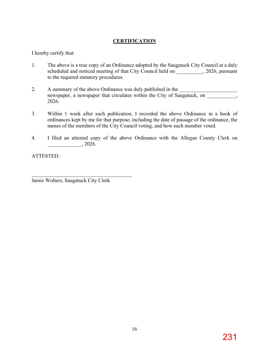 Page 231 of the packet; its text follows